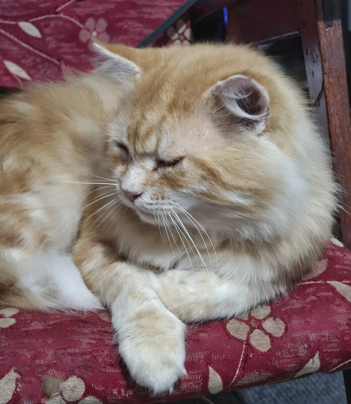 Его Величество - Валерий Ткаченко Его Величество - Валерий Ткаченко