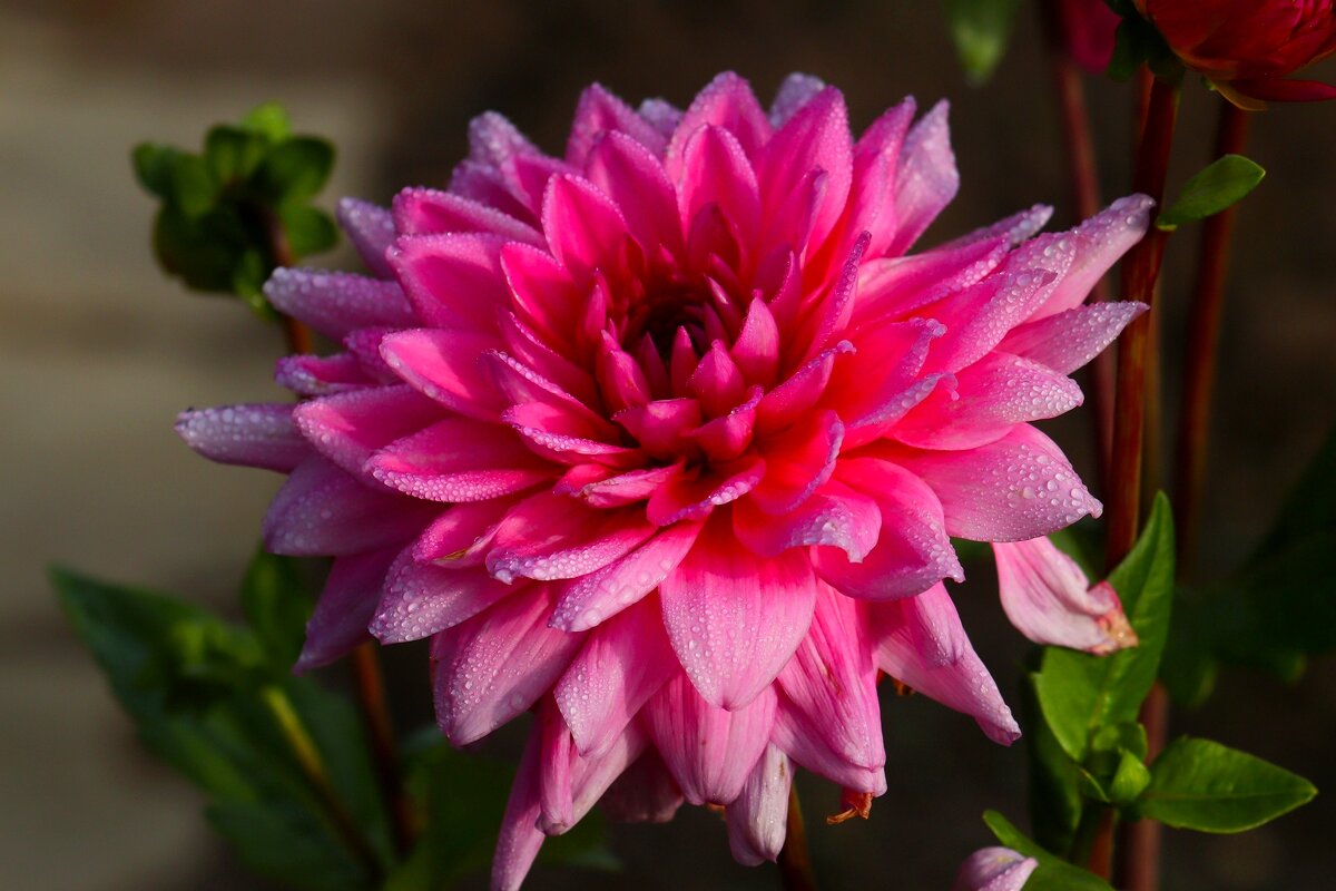 Доброе утро - Юрий. Шмаков Доброе утро - Юрий. Шмаков