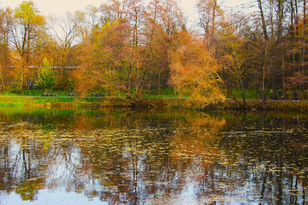 ВЗГЛЯНУЛА ОСЕНЬ В ЗЕРКАЛО ПРУДА... - Валентина 