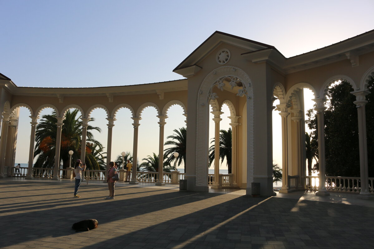 Тёплый вечер в Гаграх - Ольга 