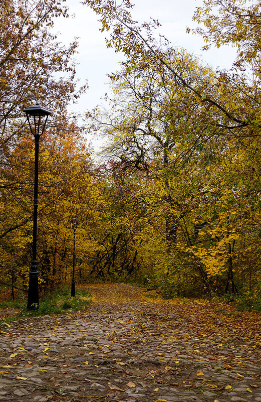 Осенний спуск - Лариса Корж
