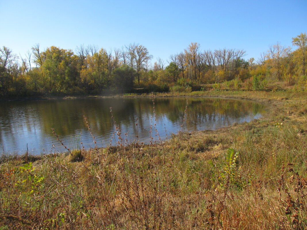 октябрь - Елена Шаламова