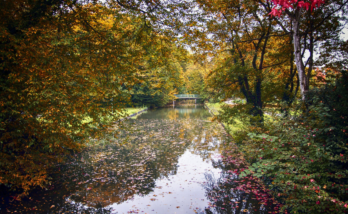 Парки Кельна в октябре - Андроник Александр 