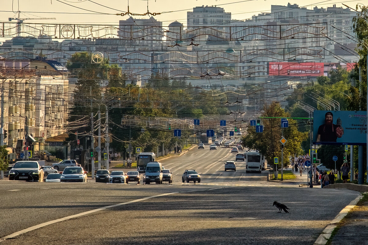 Любопытная ворона... - Сергей Шатохин 