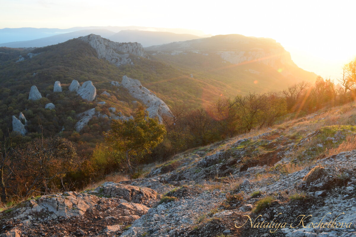 Природа Крыма - Amazing Cosmea