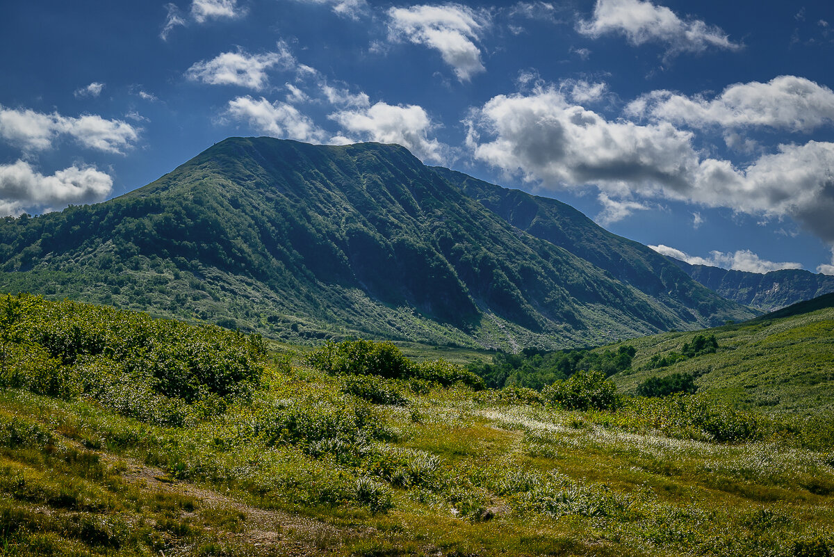 ... - Жора Житников