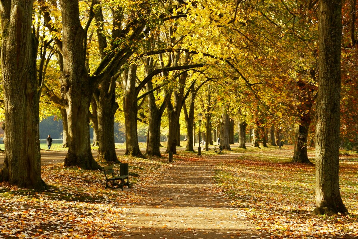 Осень — она не спросит, осень — она придёт - Юрий. Шмаков