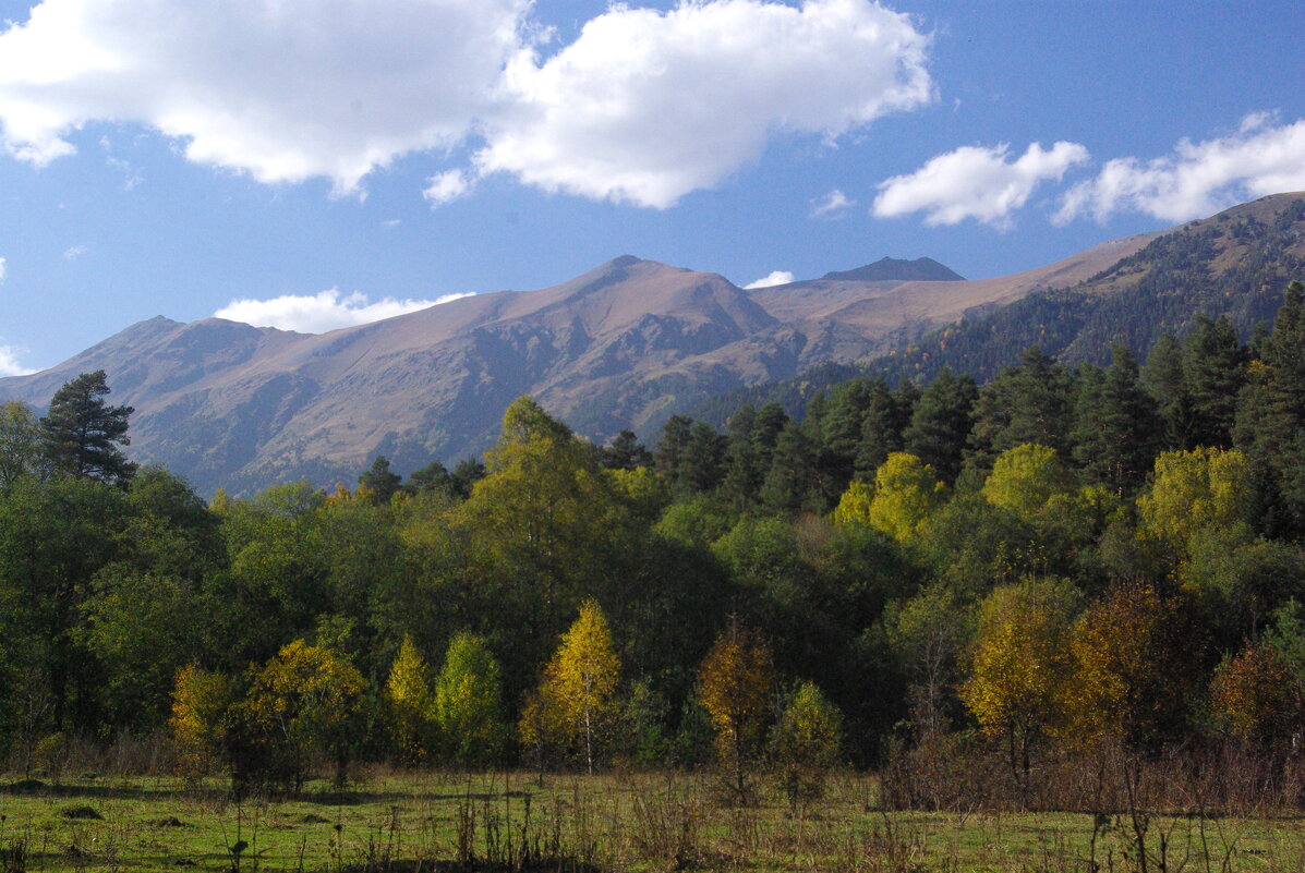Осень в горах ... - Андрей Любимов Осень в горах ... - Андрей Любимов