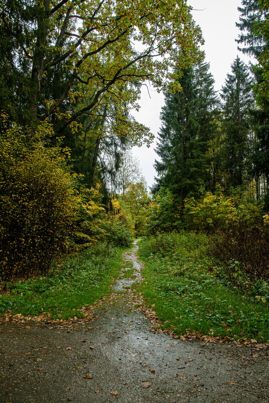 Тропинка - Павел Катков