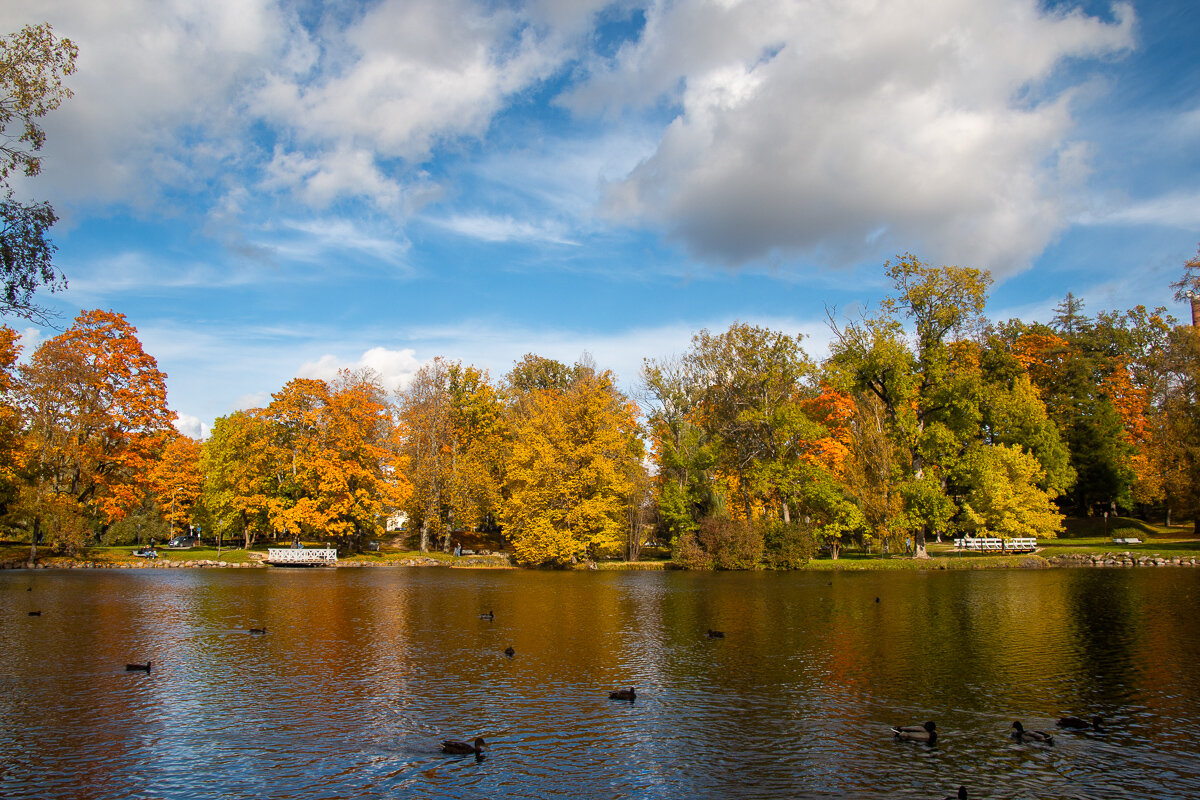 *** - Геннадий Порохов
