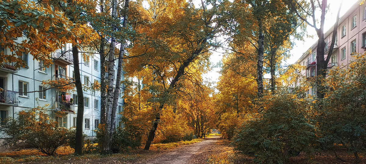 Петербургские дворики. - Лилия *