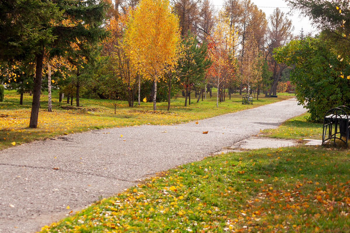 Осень в парке - IRinA*** 