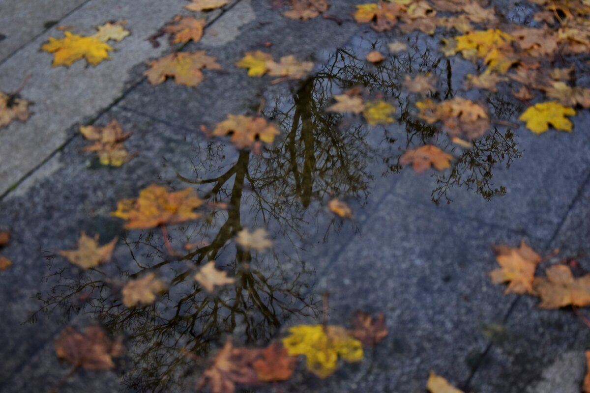 Отражение в воде - Мария Яковлева Отражение в воде - Мария Яковлева