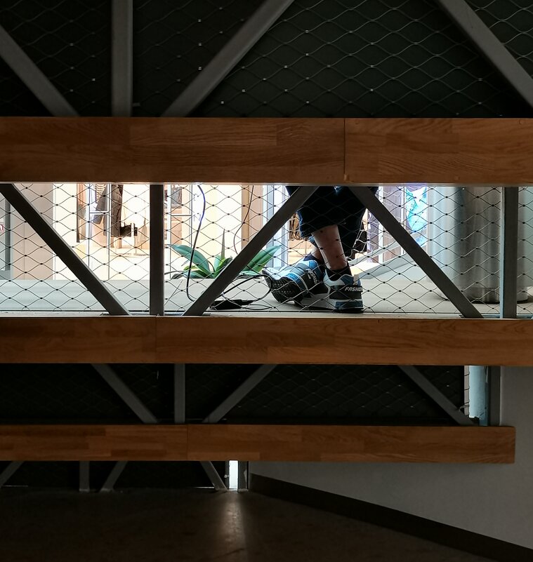 Пересечение - Любимова Ольга 