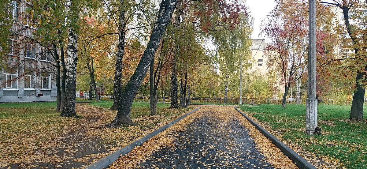 Осень листьями шуршит - Galina Solovova Осень листьями шуршит - Galina Solovova