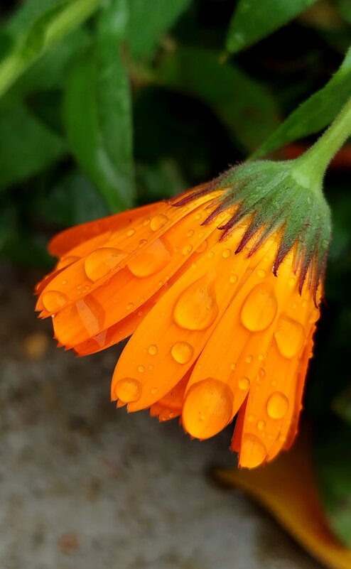 Юбочка - светлана льдокова