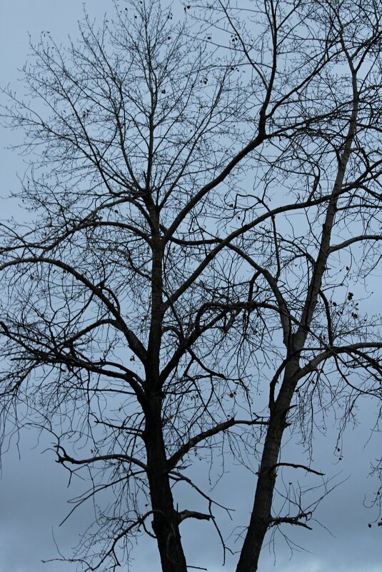 Вечность....Движение жизни... - Мария 