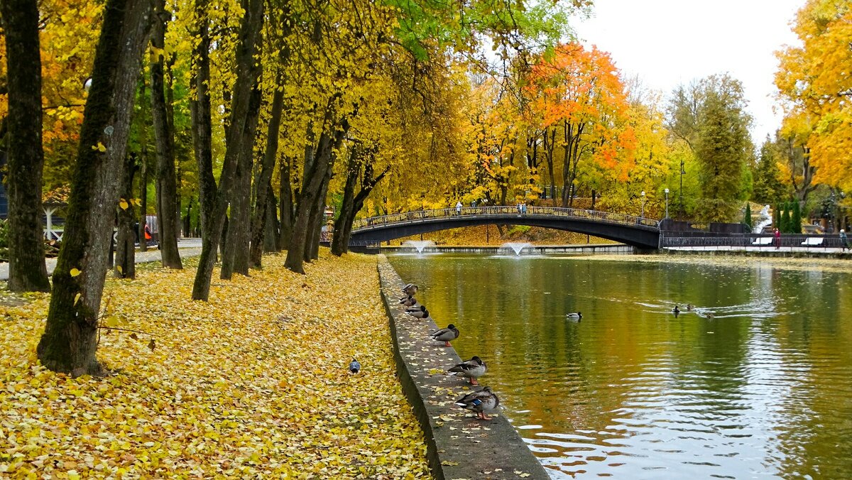 Осенний сад. - Милешкин Владимир Алексеевич 