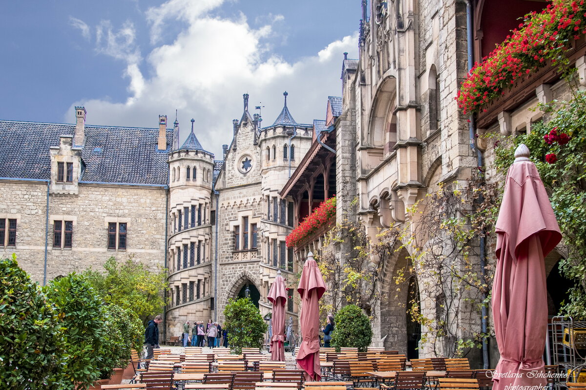 ... - Светлана Ищенко