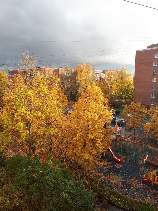 Золотые липы в моём дворе - Надежда 