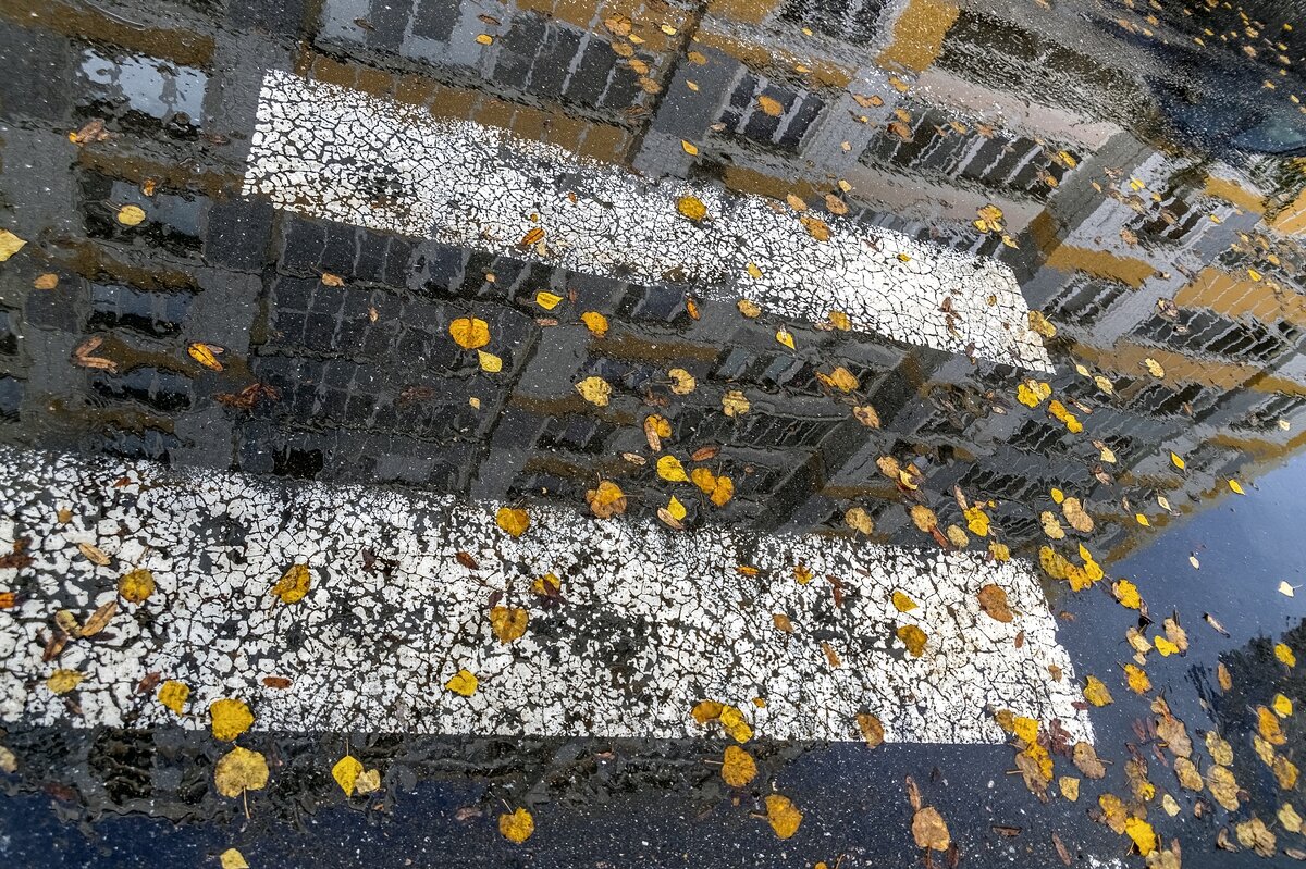 Городская осень - Валерий Иванович