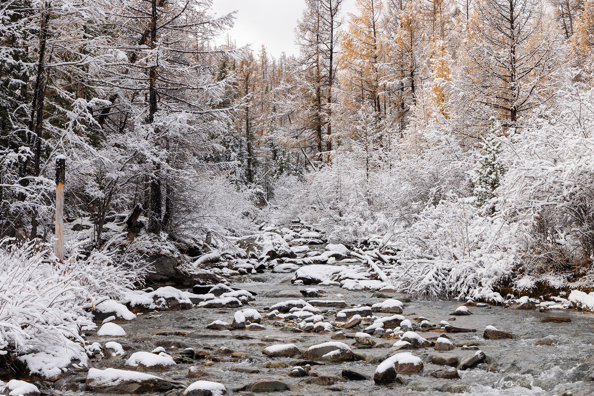 Алтай - Sergey38 