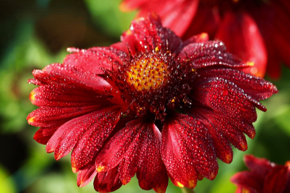 Доброе утро - Юрий. Шмаков