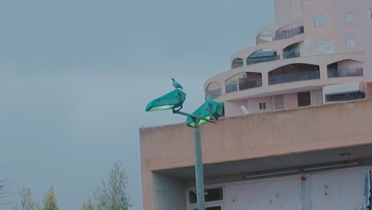 13  ОПЕН (521) - OPEN WAYS ALL