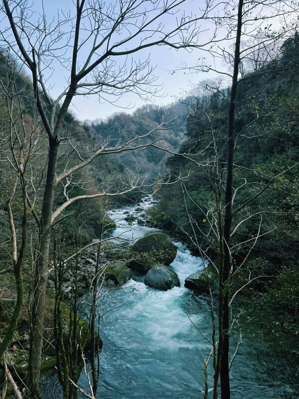 Горная река - Георгиевич 