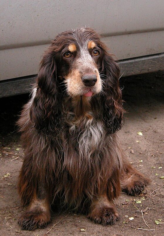 Мона - Николай Семёнов