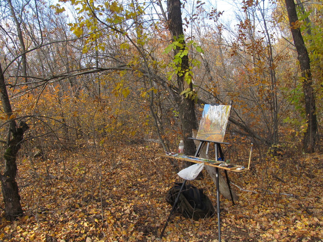 пленэр - Елена Шаламова