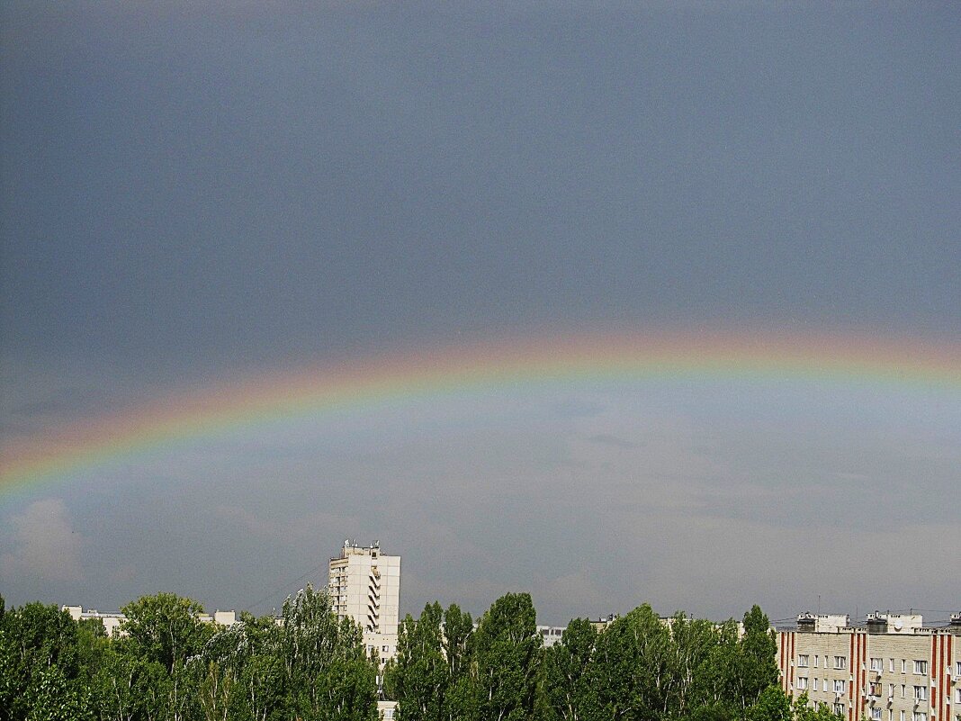 июль - Елена Шаламова июль - Елена Шаламова