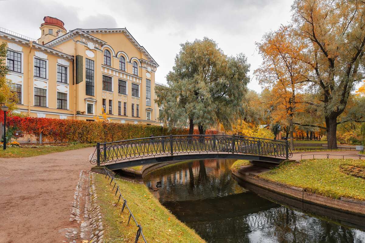 *** - Александр Кислицын