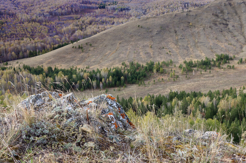 Прогулки по осени... - Галина Ильясова