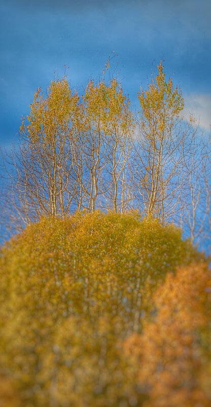 Осень. - Юрий 