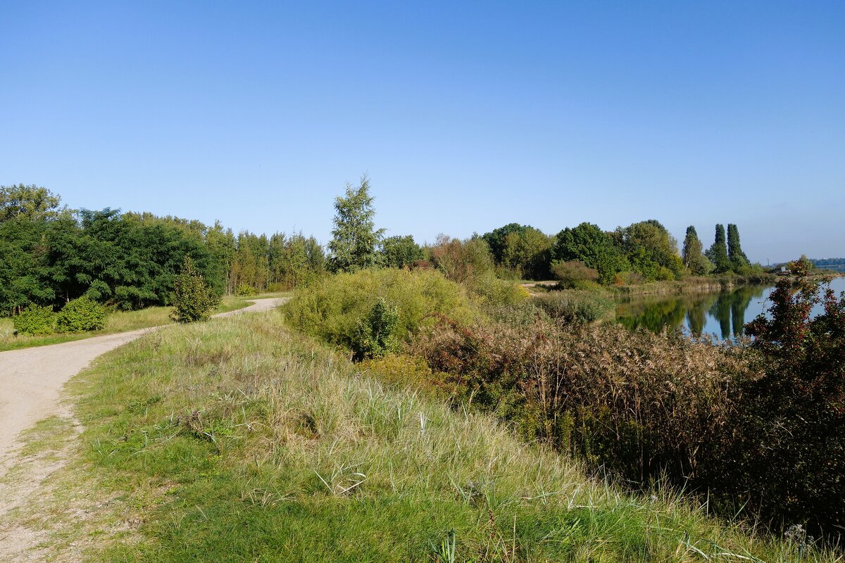Побережье Калининградского  залива - Рита Симонова