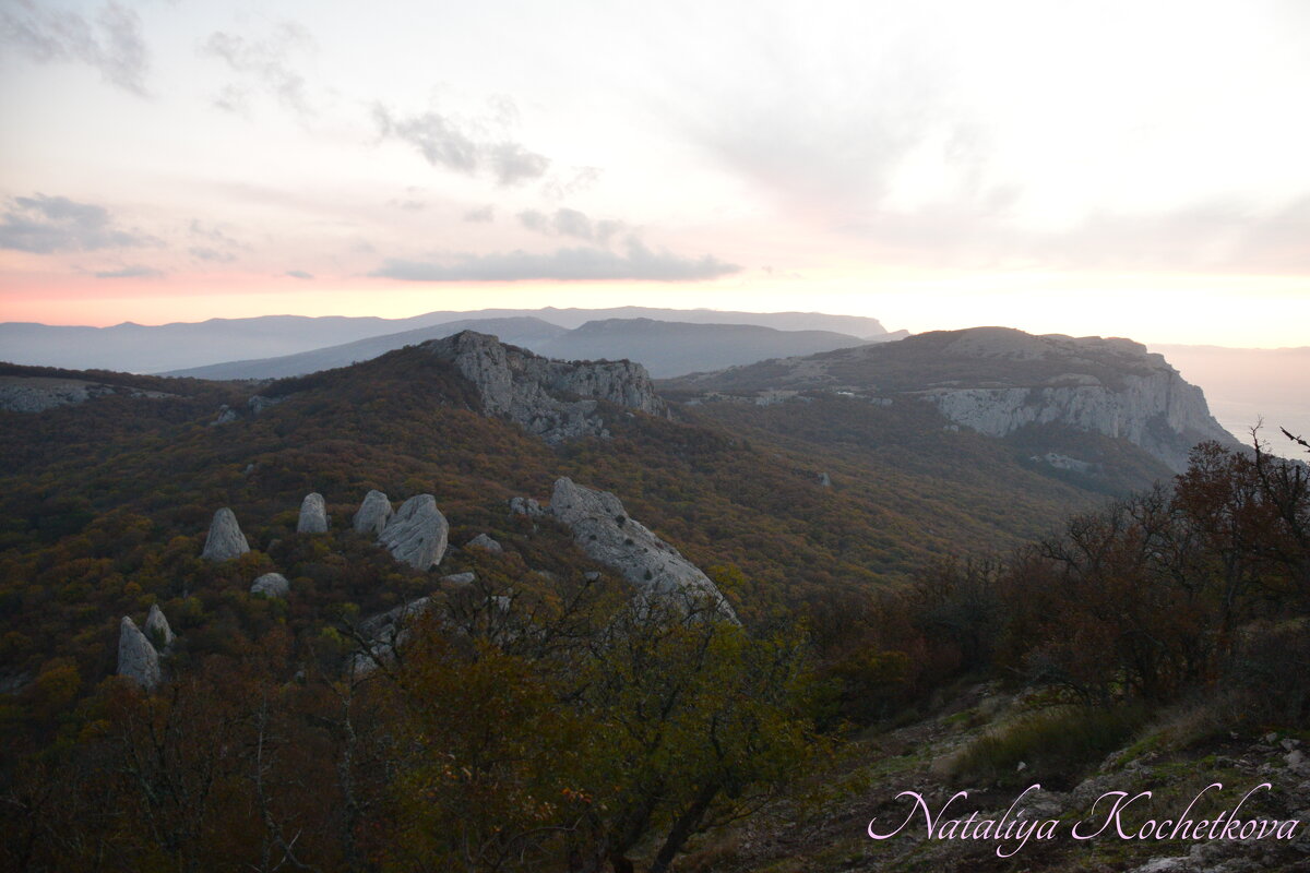 Природа Крыма - Amazing Cosmea