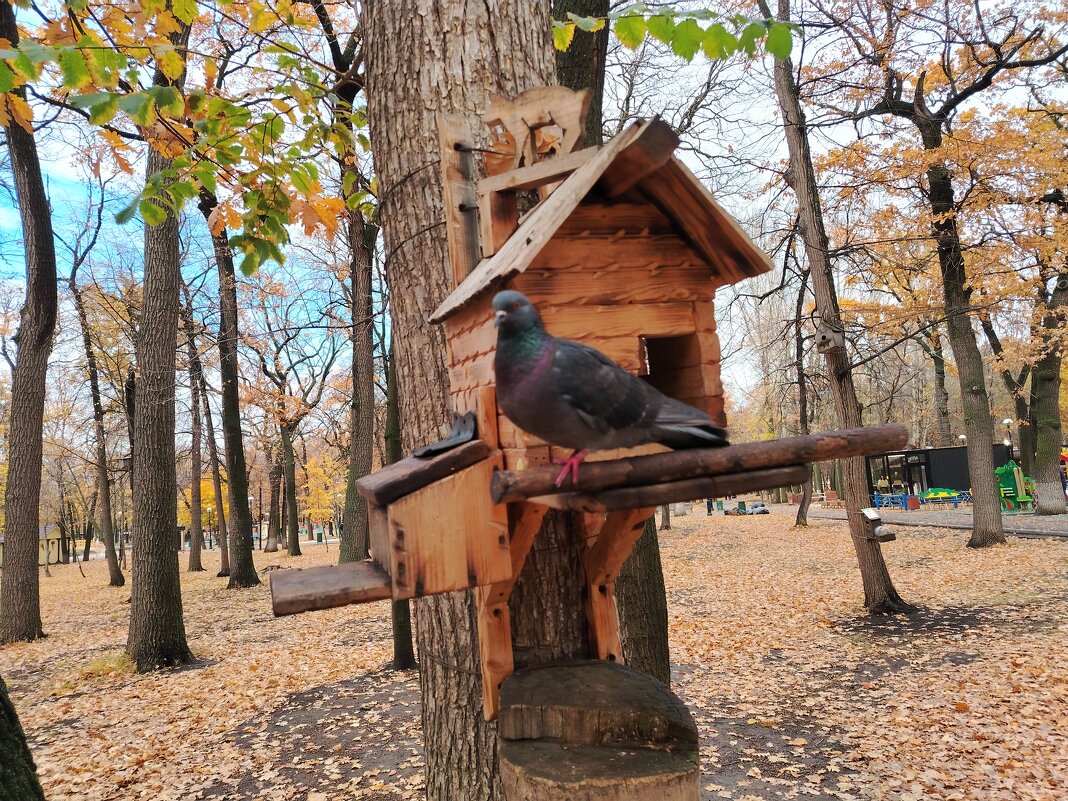В ожидании - Надежда 
