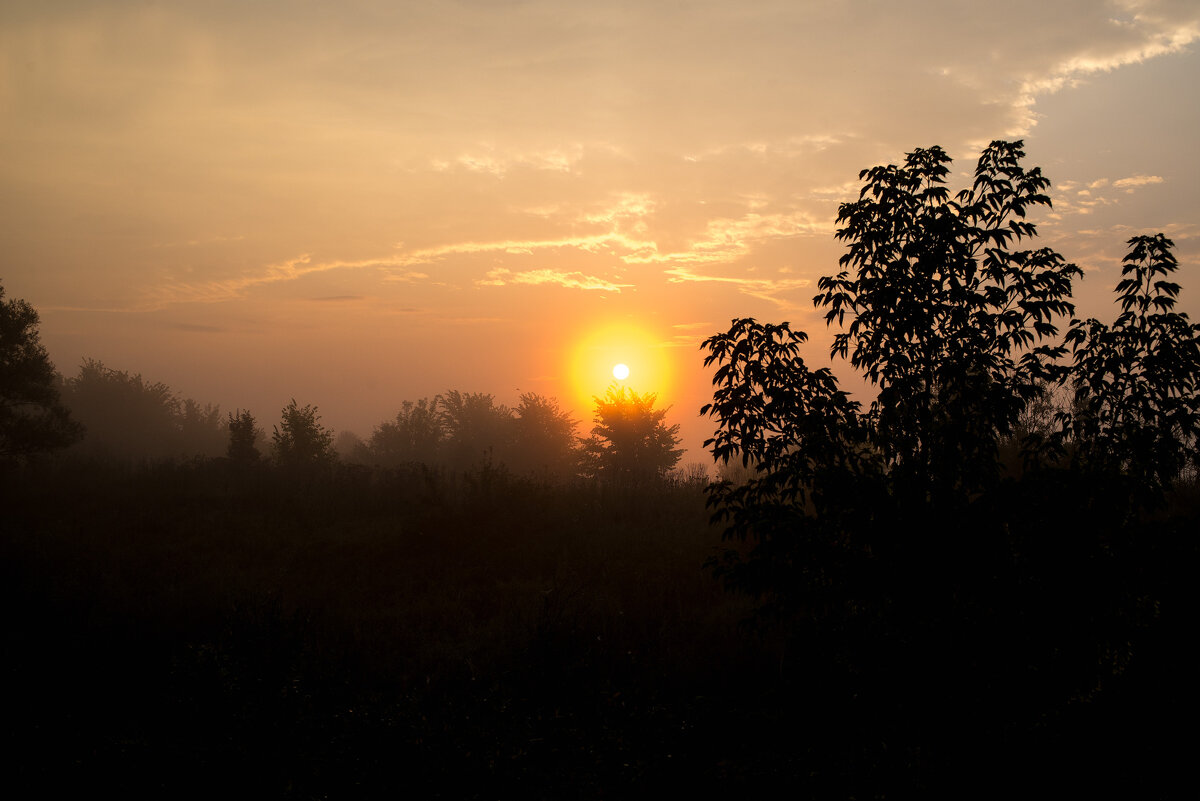 Туманное утро - Владимир Иванович Туманное утро - Владимир Иванович