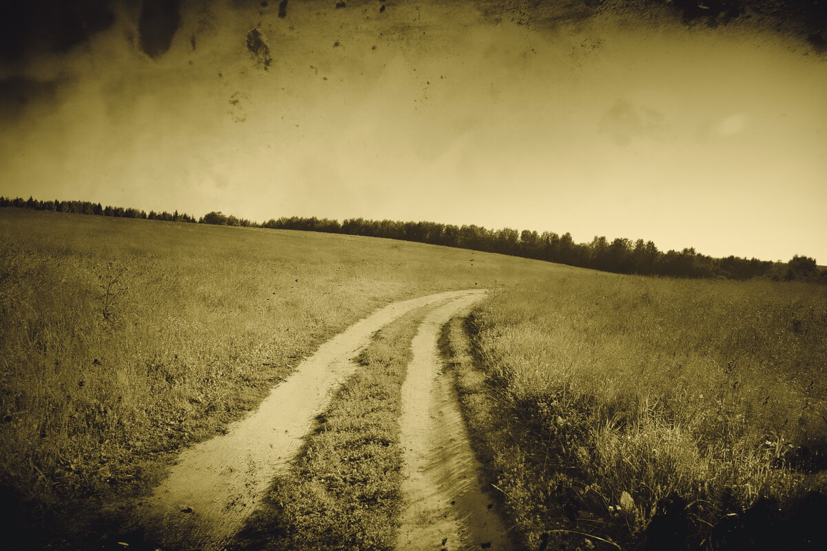 Фотография - Денис Безногов