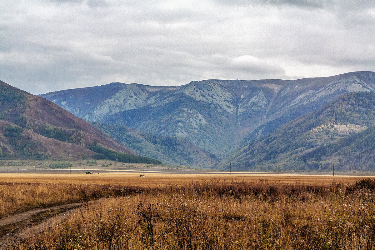 Риддер - Дмитрий Риддер - Дмитрий