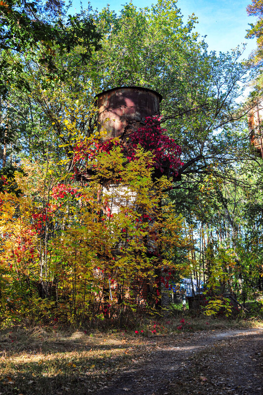 старая водонапорная башня - Виктор Скаков
