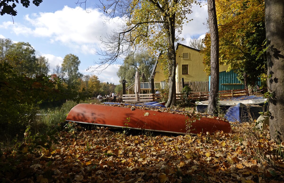 Играет осень красками, И каждый день по разному,... - Галина Играет осень красками, И каждый день по разному,... - Галина