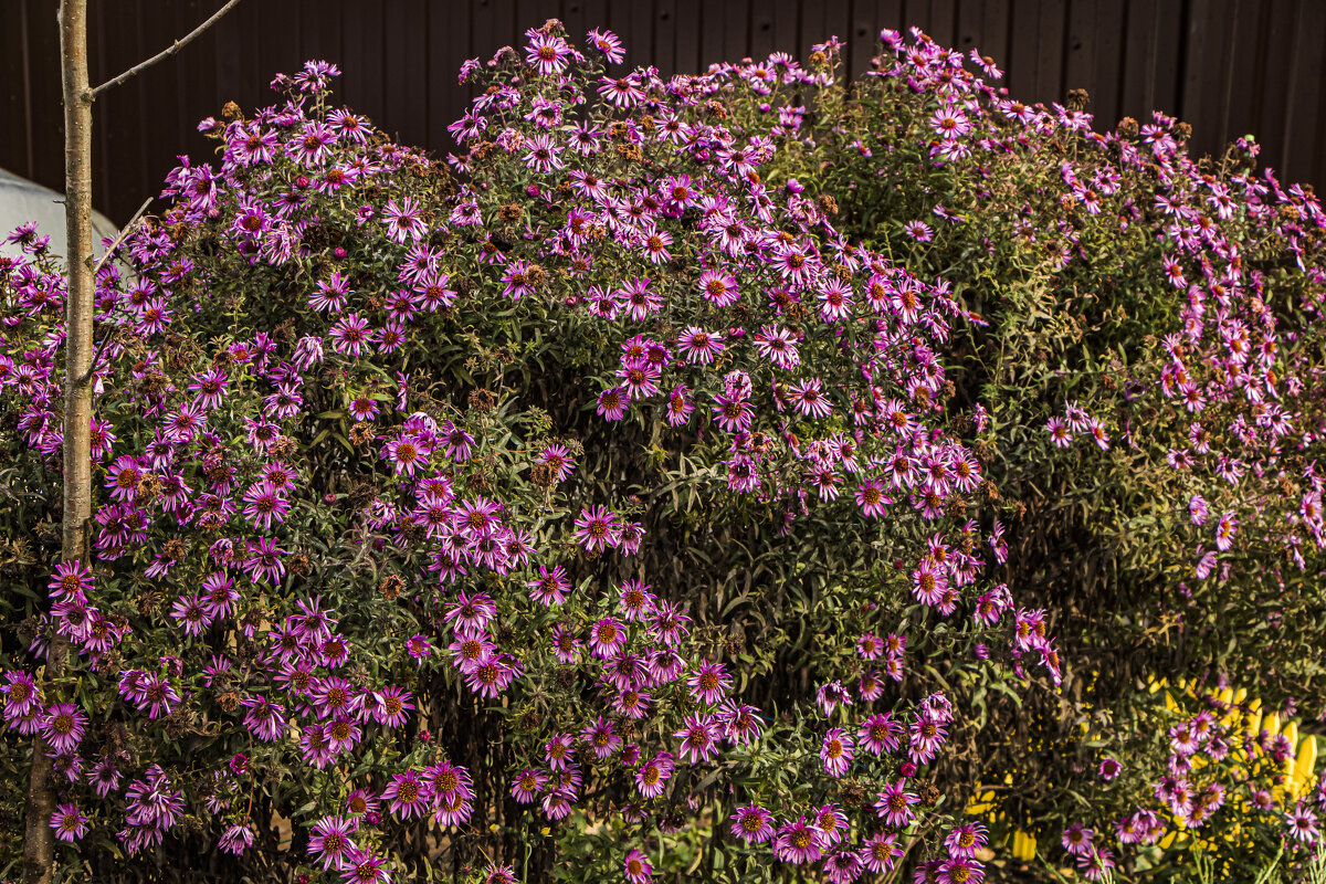 Середина октября. - Петр Беляков