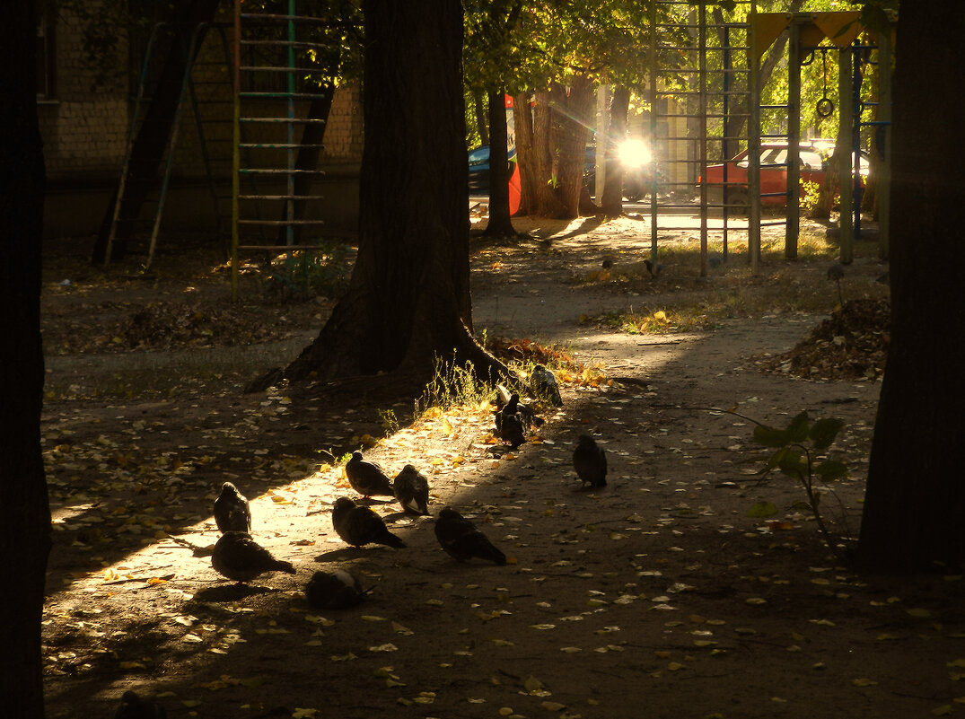 в лучах "софитов" - Лера 