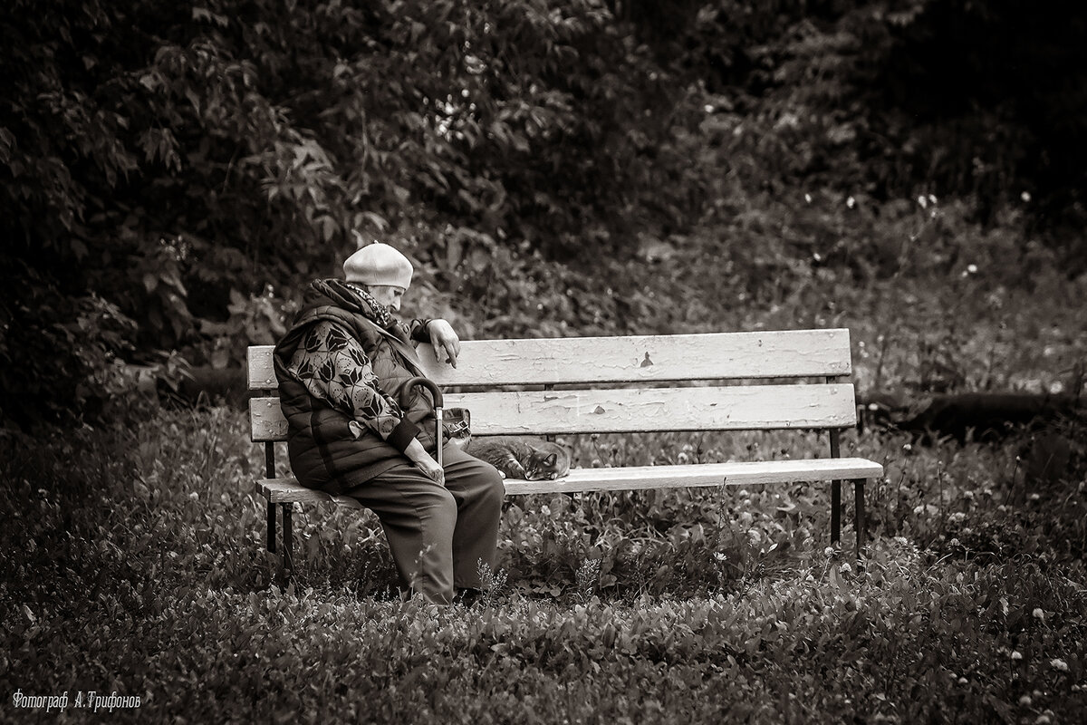Отдых на старой скамейке сентябрьским днём - Алексей Трифонов