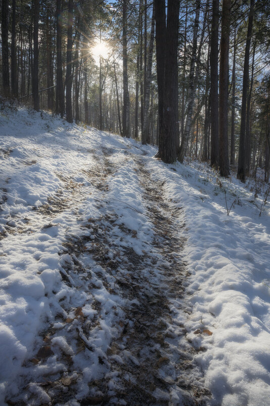 * - Александр Иванов