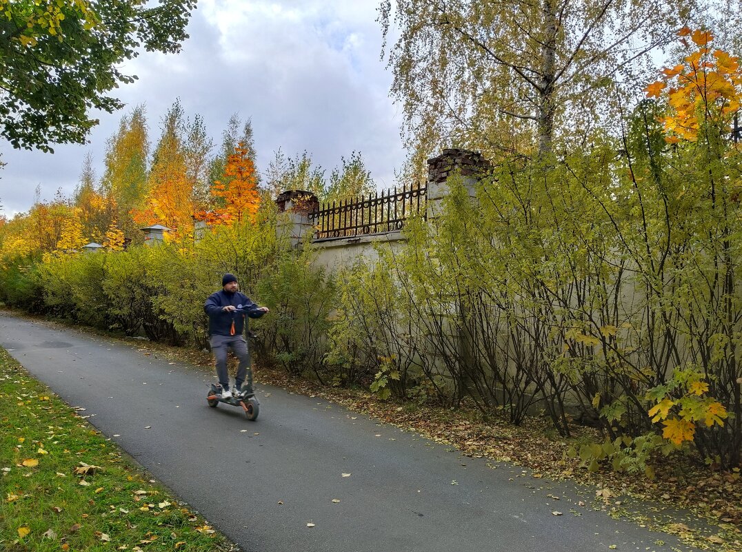 Осень в городе - Мария Васильева