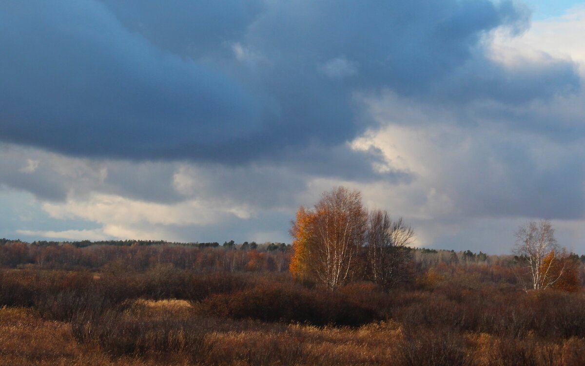 Осенняя хмарь - Сергей Никифоров