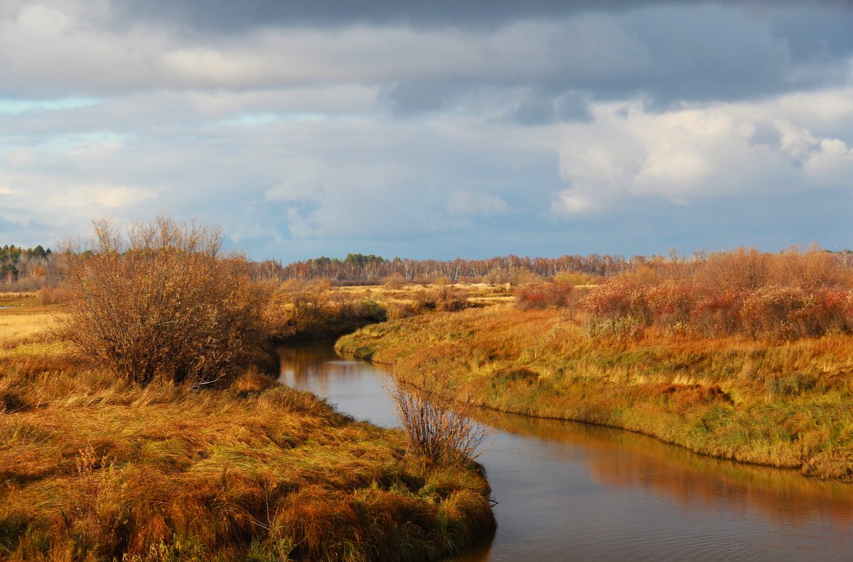 Осень. Река - Сергей Никифоров